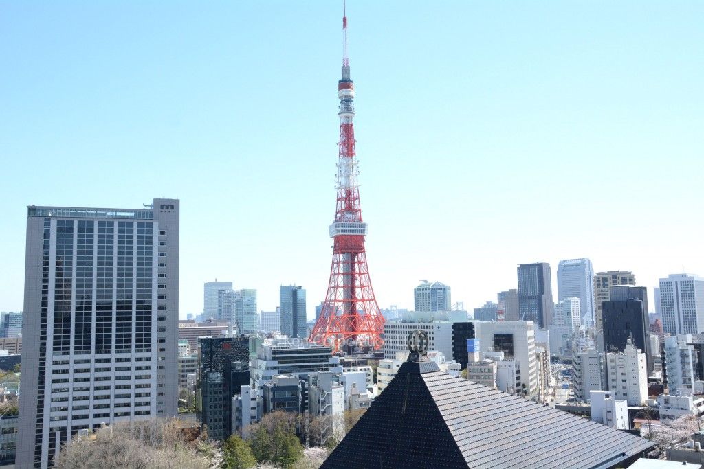 六本木ビュータワーの写真 眺望