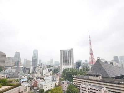 六本木ビュータワーの写真 眺望