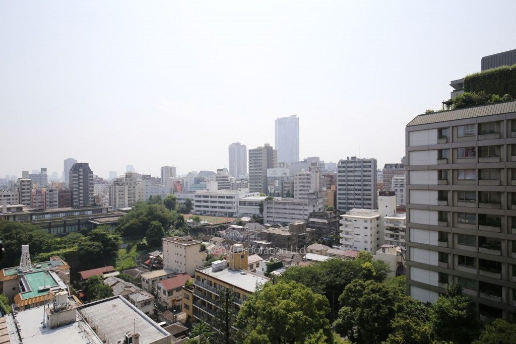 六本木ビュータワーの写真 眺望（居室から）