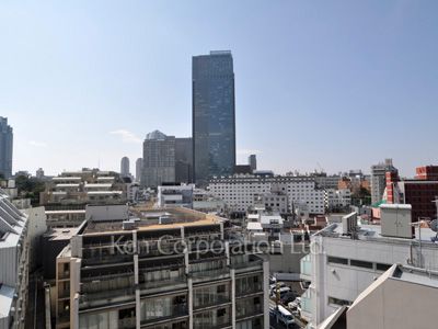 ザ・パークハウス赤坂レジデンスの写真 眺望