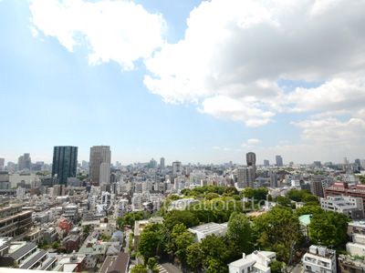 グランスイート麻布台ヒルトップタワーの写真 眺望