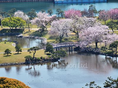東京ツインパークスLEFT WINGの写真 眺望（居室から）