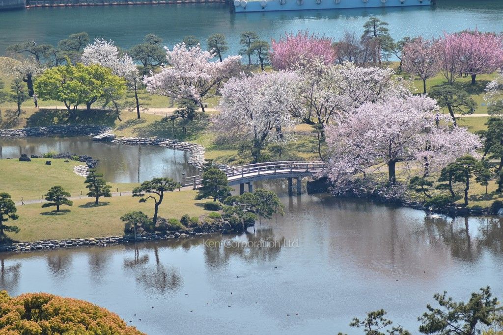 東京ツインパークスLEFT WINGの写真 眺望（居室から）