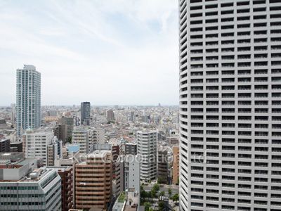セントラルパークタワー ラ・トゥール新宿の写真 眺望（居室から）