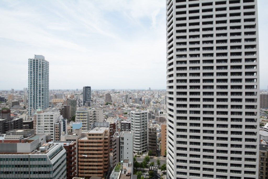 セントラルパークタワー ラ・トゥール新宿の写真 眺望（居室から）