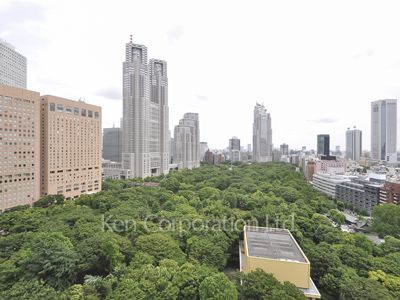 セントラルパークタワー ラ・トゥール新宿の写真 眺望（居室から）