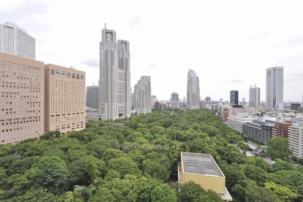 セントラルパークタワー ラ・トゥール新宿の写真 眺望（居室から）
