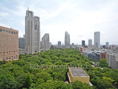 セントラルパークタワー ラ・トゥール新宿の写真 眺望（居室から）