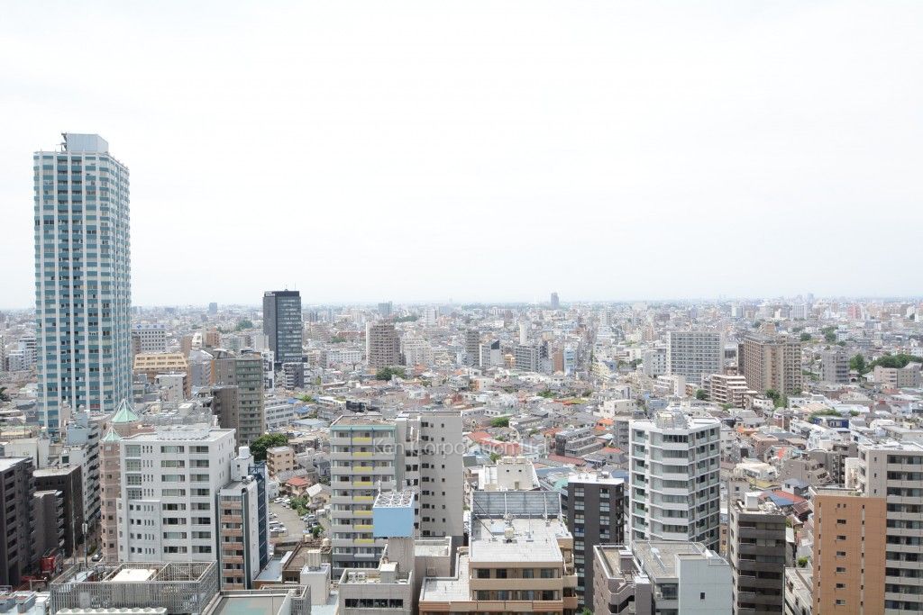 セントラルパークタワー ラ・トゥール新宿の写真 眺望（居室から）
