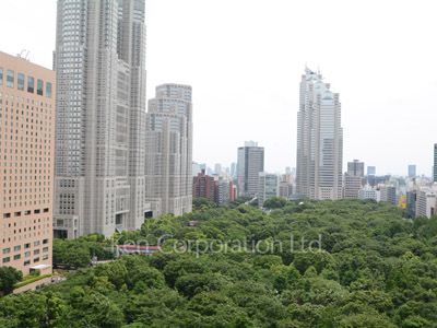 セントラルパークタワー ラ・トゥール新宿の写真 眺望（居室から）