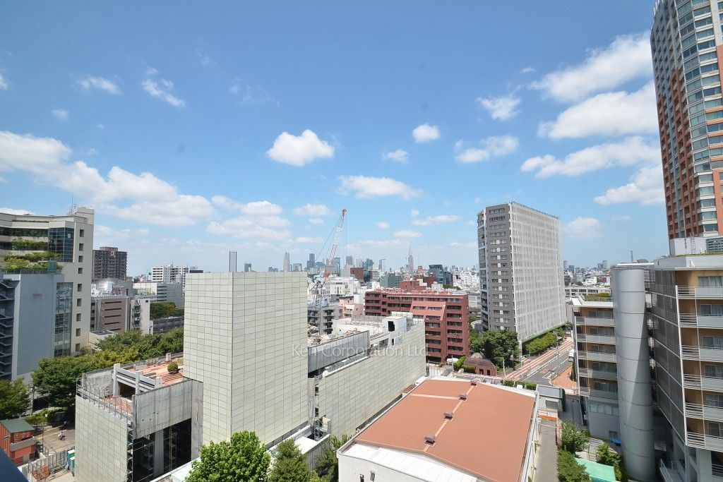 ザ・パークハウス渋谷美竹の写真 眺望（居室から）