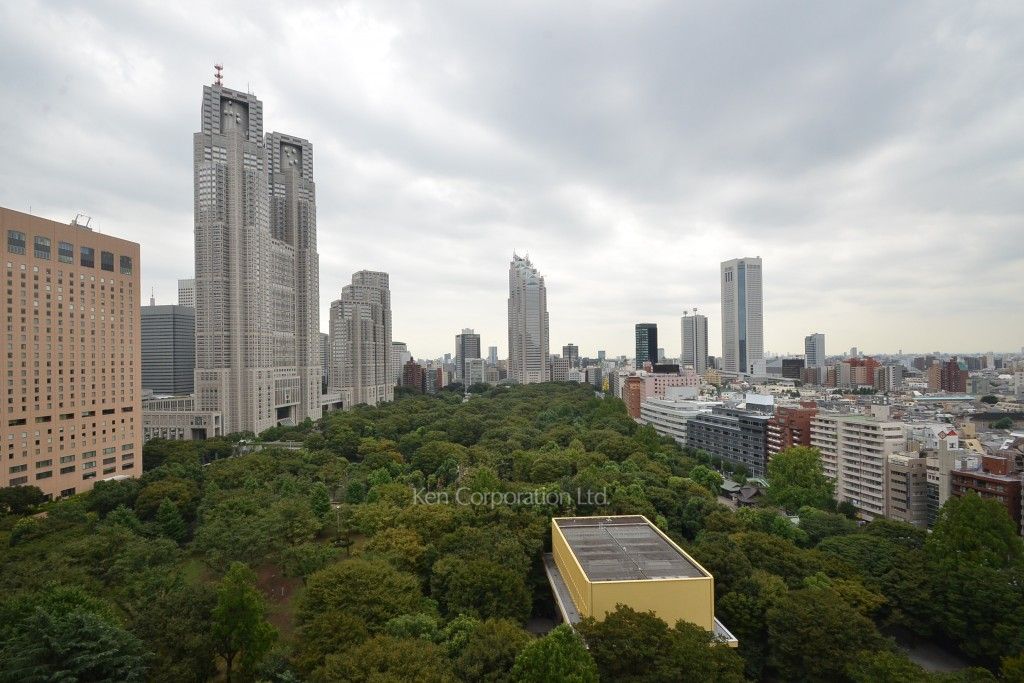 セントラルパークタワー ラ・トゥール新宿の写真 眺望（居室から）
