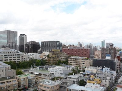 ザ・パークハウス西麻布レジデンスの写真 眺望