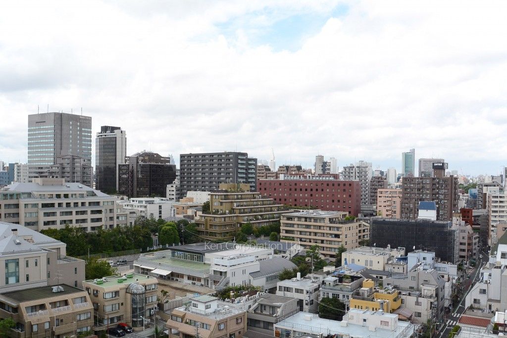 ザ・パークハウス西麻布レジデンスの写真 眺望