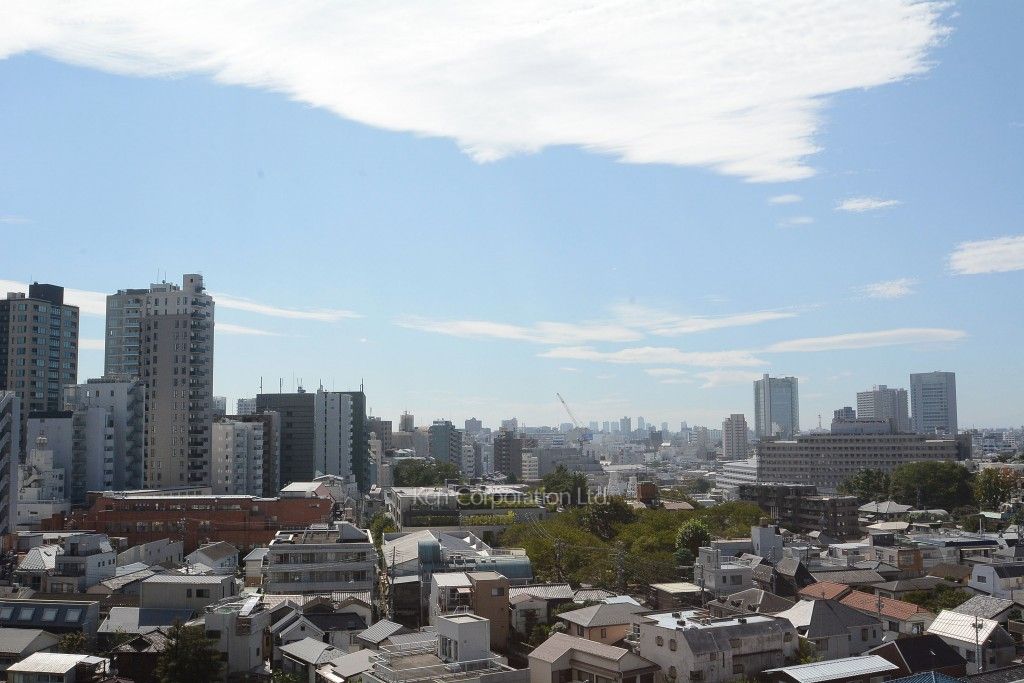 プラウドタワー白金台の写真 眺望