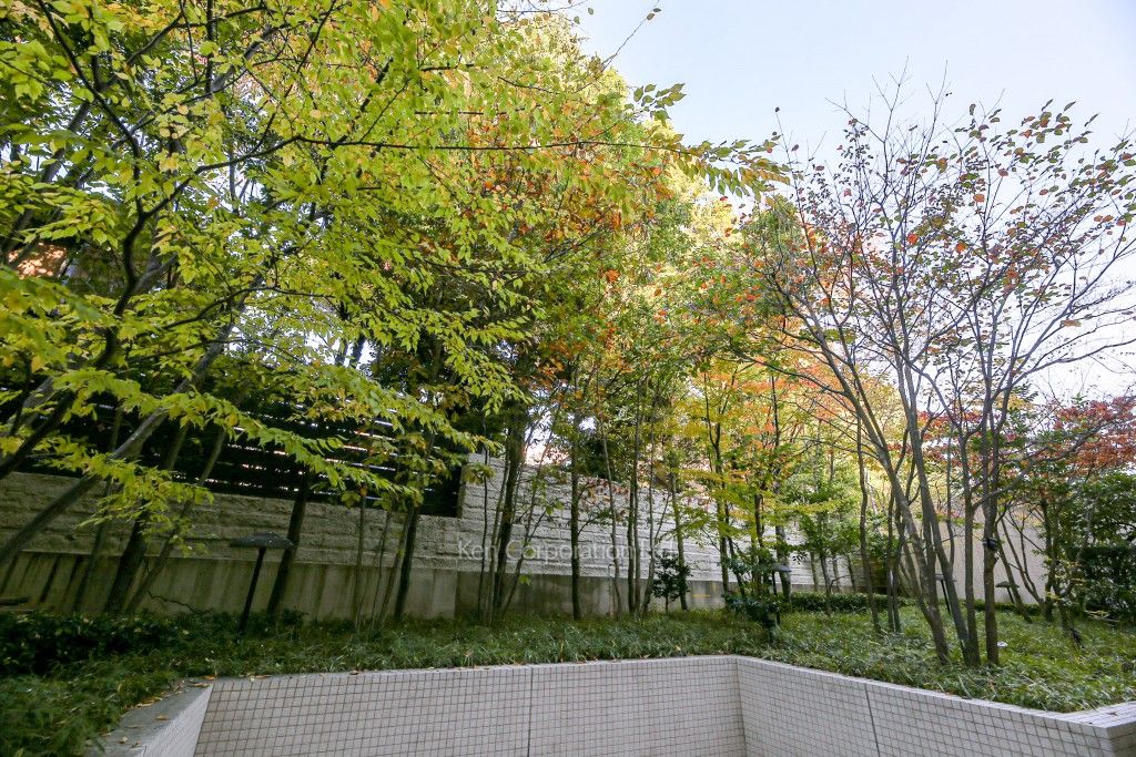 ディアナガーデン代官山の写真 専用庭