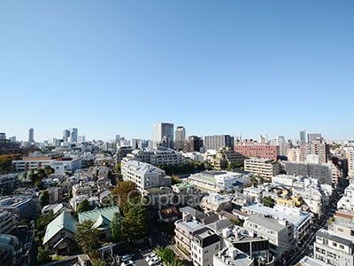 ザ・パークハウス西麻布レジデンスの写真 眺望