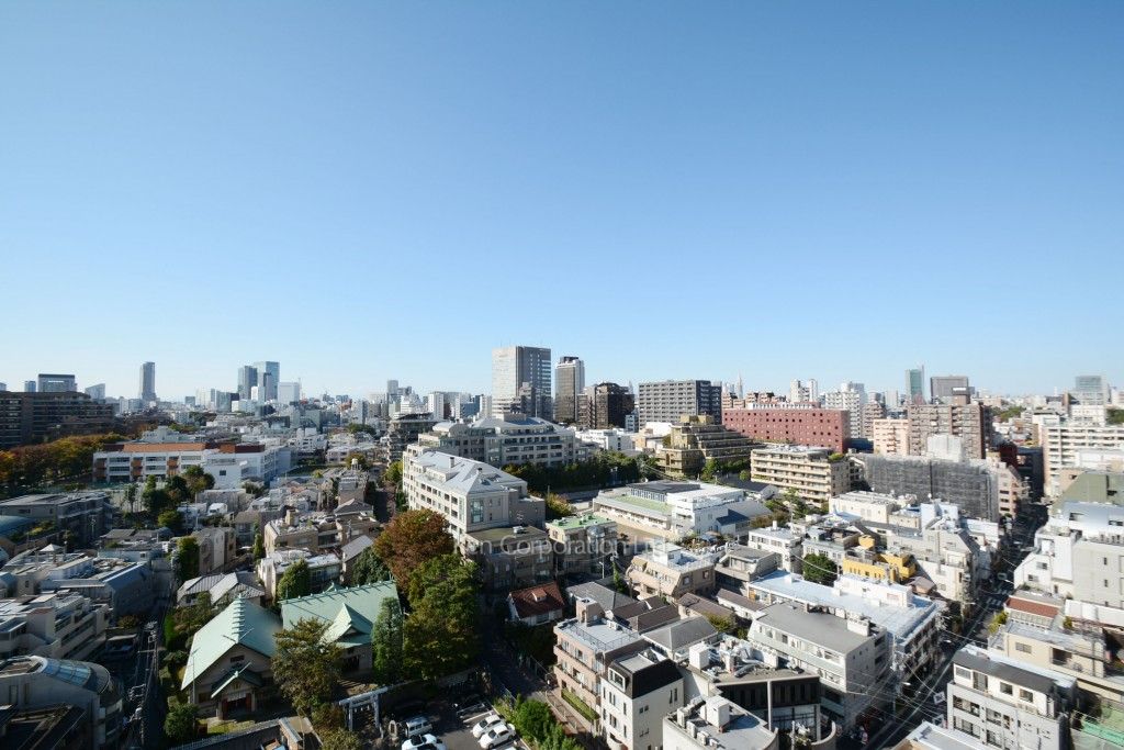 ザ・パークハウス西麻布レジデンスの写真 眺望