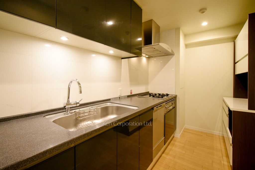 グランドメゾン中目黒THECLASSの写真 キッチン