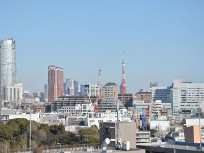 渋谷プロパティータワーの写真 眺望