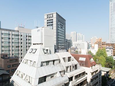 ザ・パークハウス愛宕虎ノ門の写真 眺望