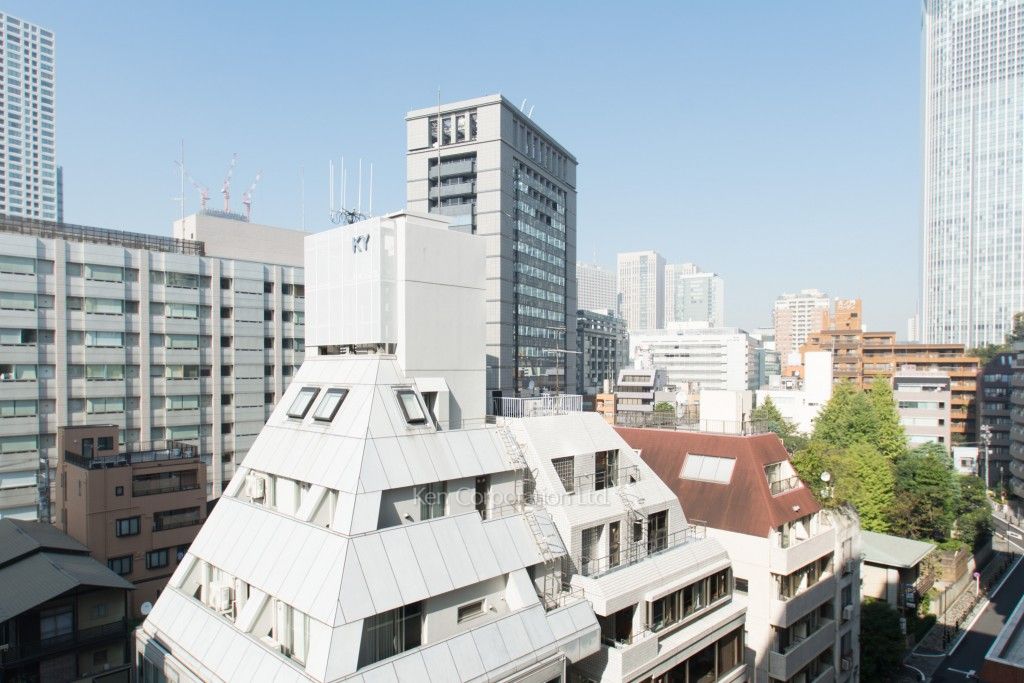 ザ・パークハウス愛宕虎ノ門の写真 眺望