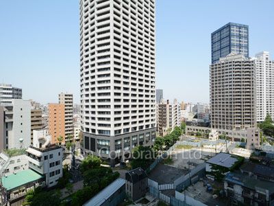 セントラルパークタワー ラ・トゥール新宿の写真 眺望（居室から）