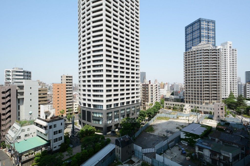 セントラルパークタワー ラ・トゥール新宿の写真 眺望（居室から）
