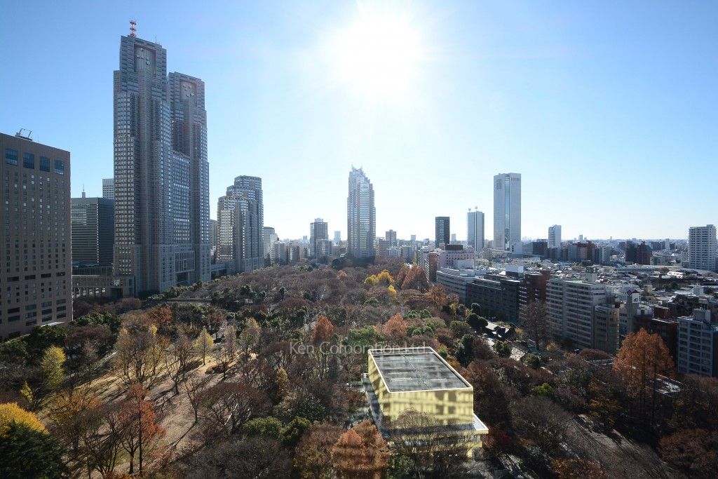 セントラルパークタワー ラ・トゥール新宿の写真 眺望（居室から）