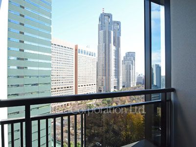 セントラルパークタワー ラ・トゥール新宿の写真 バルコニー