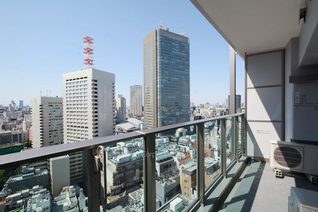 パークハビオ赤坂タワーの写真 バルコニー