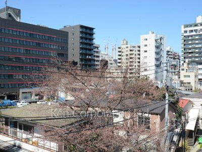 ヒューリックレジデンス新宿戸山の写真 眺望