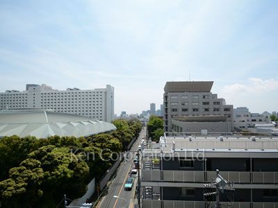 La Versoixの写真 眺望（居室から）