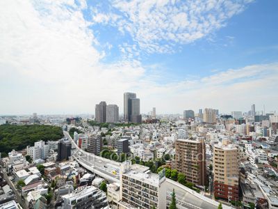 グランドメゾン白金の杜ザ・タワーの写真 眺望