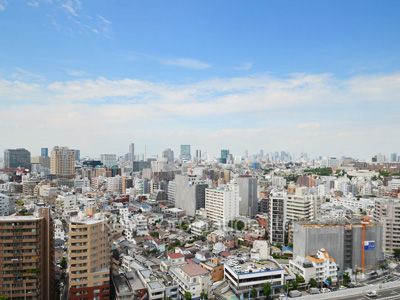 グランドメゾン白金の杜ザ・タワーの写真 眺望