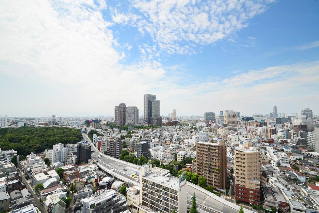 グランドメゾン白金の杜ザ・タワーの写真 眺望