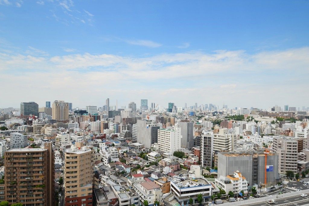 グランドメゾン白金の杜ザ・タワーの写真 眺望