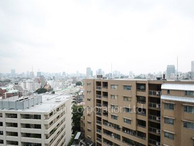 グランドメゾン白金の杜ザ・タワーの写真 眺望
