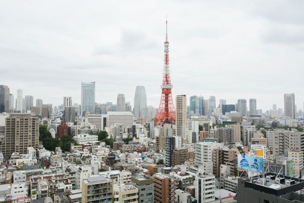 パークコート麻布十番ザ・タワーの写真 眺望（居室から）