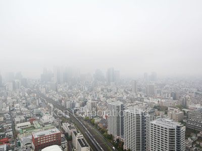 ラ・トゥール新宿ガーデンの写真 眺望