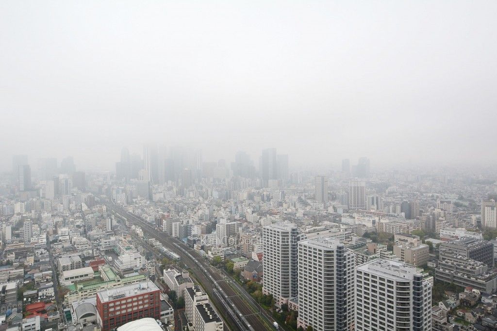 ラ・トゥール新宿ガーデンの写真 眺望