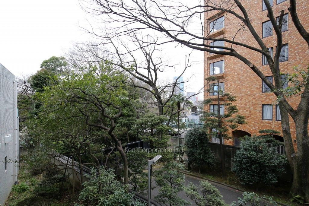 キングホームズ青山の写真 眺望