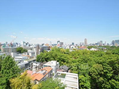 キングホームズ青山の写真 眺望（居室から）