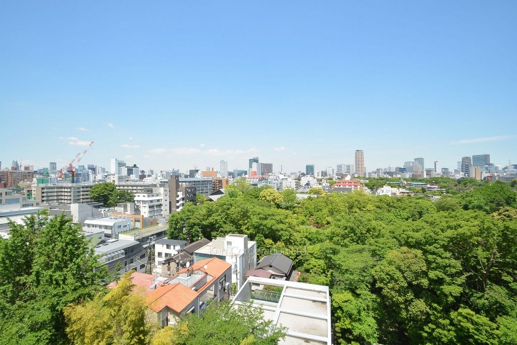 キングホームズ青山の写真 眺望（居室から）