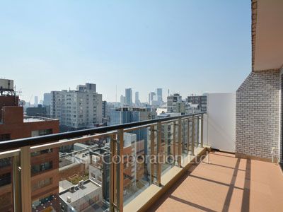 キングホームズ青山の写真 バルコニー