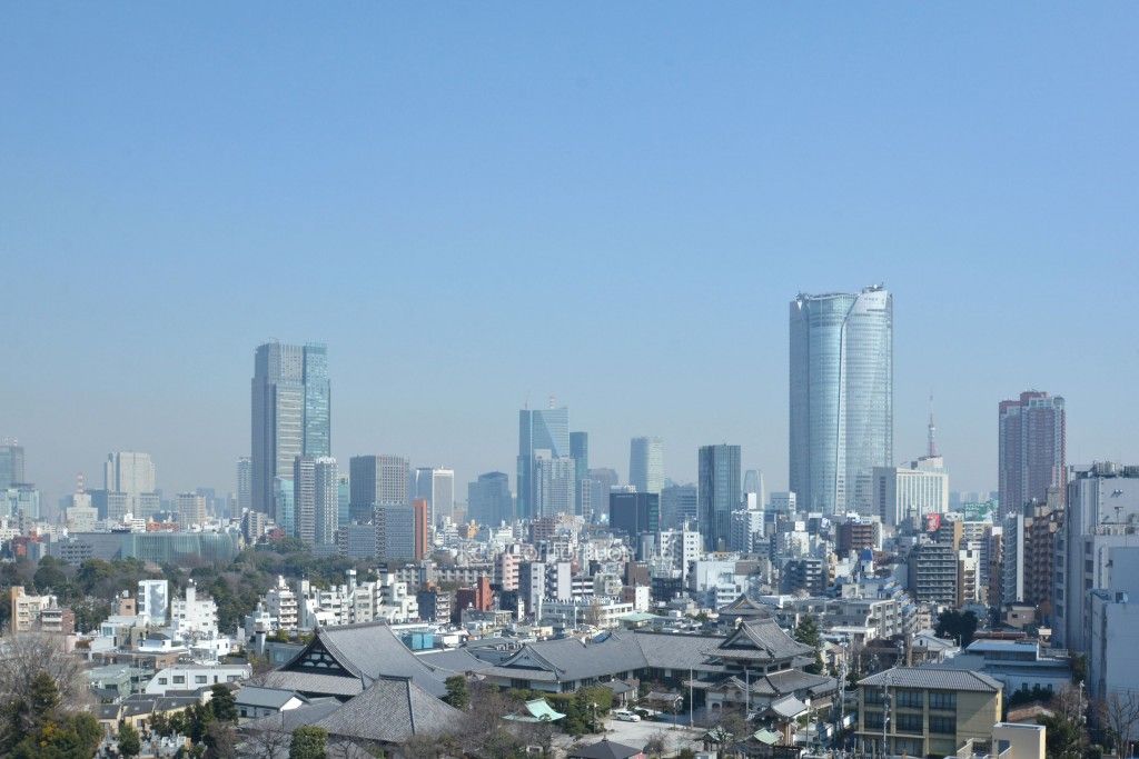 キングホームズ青山の写真 眺望