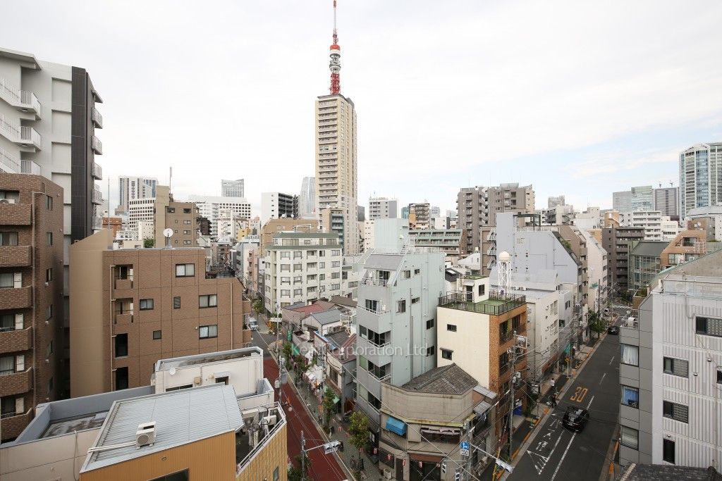 コンフォリア麻布EASTの写真 眺望（居室から）