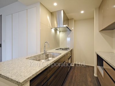 パークアクシスプレミア南青山の写真 キッチン