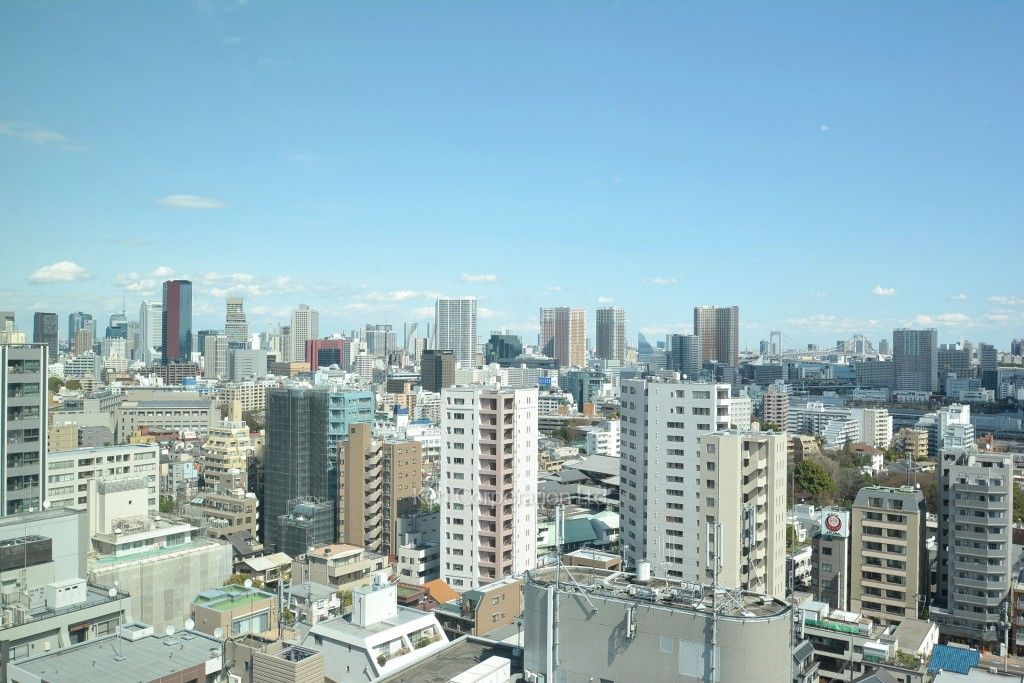 プラウドタワー白金台の写真 眺望