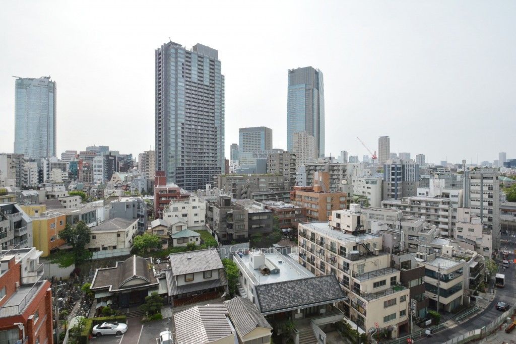 六本木グランドタワーレジデンスの写真 眺望